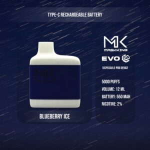 maskking evo Blueberry ice